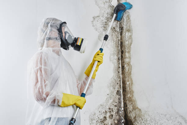 Best Mold Remediation for Specific Building Types in Metlatla, AK