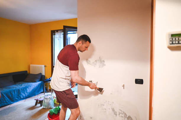 Best Health and Safety Mold Remediation in Metlatla, AK